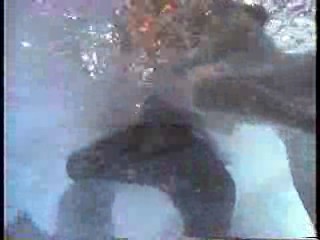 Benny Hill,  Down and Out in Beverly Hills