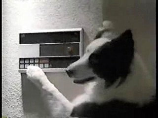 Benny Hill,  Down and Out in Beverly Hills