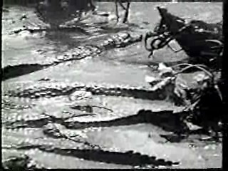 Shrimp on the Barbie,  River of Evil