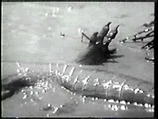 Shrimp on the Barbie,  River of Evil