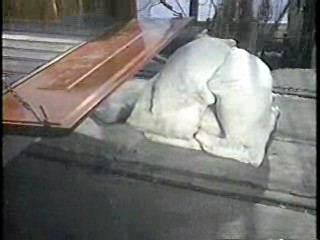 Tour of Duty,  Savage Season