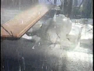 Tour of Duty,  Savage Season