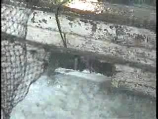 Tour of Duty,  Savage Season