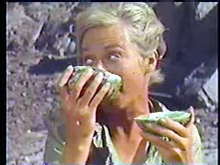 Daktari,  Sands of the Kalahari