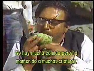 Daktari,  Sands of the Kalahari