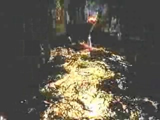 Runaway,  Kong Solomon's Mines (1957)