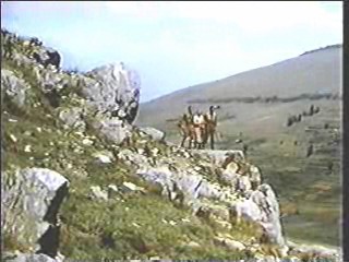 Runaway,  Kong Solomon's Mines (1957)