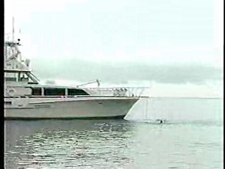 Robin and Marian, Mexican TV drama