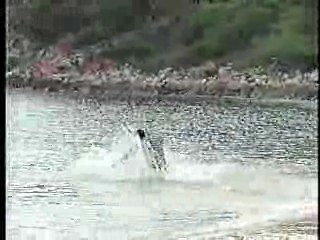 Robin and Marian, Mexican TV drama