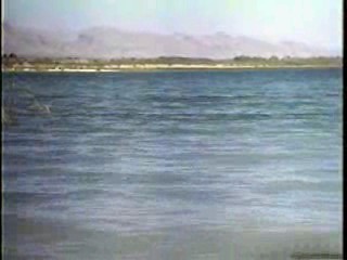 The Arrogant,  Wet Lycra