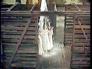 The Year of Living Dangerously,  Old Gringo