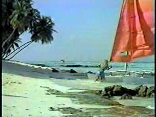 I Love You Alice B Toklas,  Ghosts Can't Do It