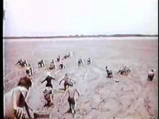 Island of the Lost Girls