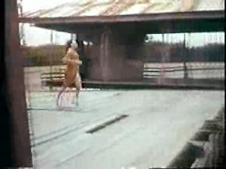 Island of the Lost Girls