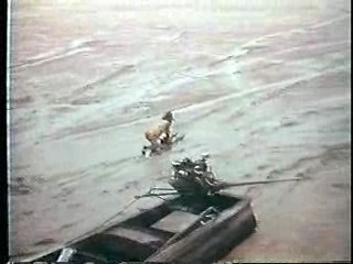 Island of the Lost Girls