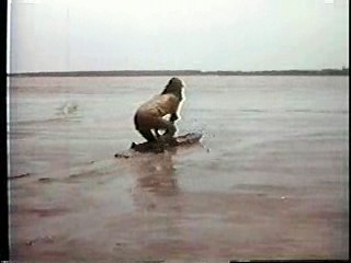 Island of the Lost Girls