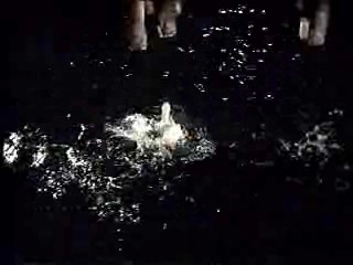 Sex and the Single Girl