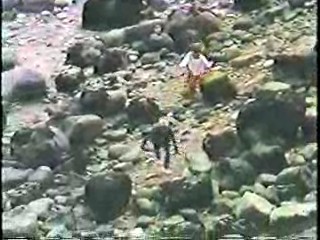 Murder: Ultimate Grounds for Divorce,  The Nude Bomb,