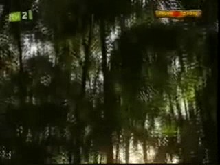 I'm a Celebrity get me Outta Here