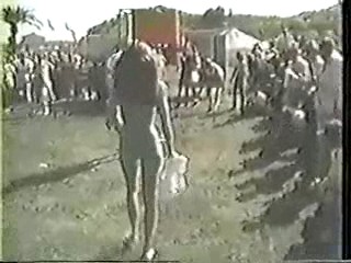 Battle of the Network Stars