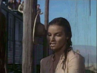 Her Alibi/100 Rifles/Independence Day movie wetlook