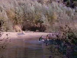 Her Alibi/100 Rifles/Independence Day movie wetlook