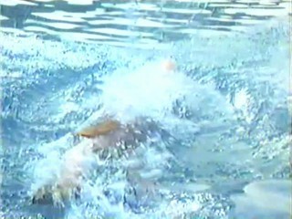 The Initiation of Sarah