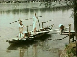 Alle KÃƒÂ¤tzchen naschen gern