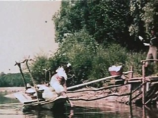 Alle KÃƒÂ¤tzchen naschen gern