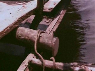 Alle KÃƒÂ¤tzchen naschen gern