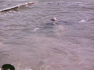 Alle KÃƒÂ¤tzchen naschen gern