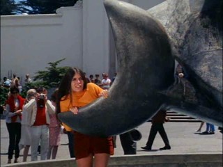 I Spy: Tag You're It