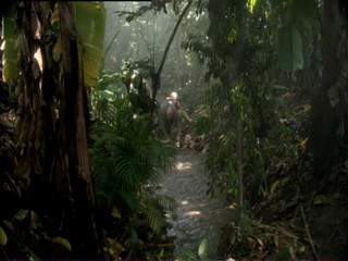 The Librarian: Return to King Solomon's Mines 