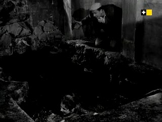 Island of Delinquents