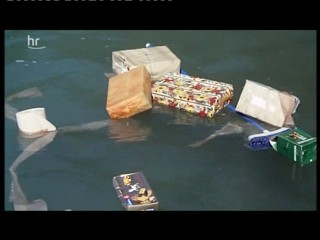 Ausser rand und band am wolfgangssee