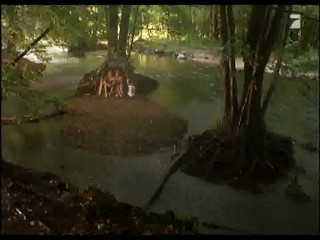 MÃ¤dchen MÃ¤dchen 2 - Loft oder Liebe