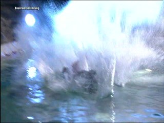 WOK WM 2010-Qualifying