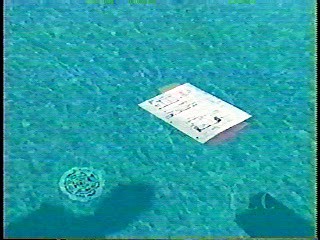 Home Show,  Access Hollywood,  Passions