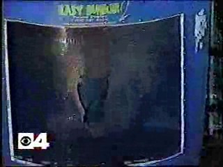 Wild Card,  Channel 4 News