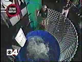 Wild Card,  Channel 4 News