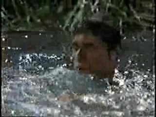 Guiding Light,   Desperate Housewives