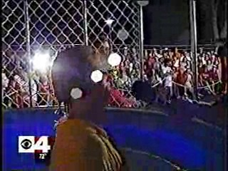 Australian Jello Dunk,  Disney TV,  Channel 4 News Dunk Tank