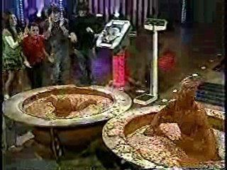 Nick TV Challenge,  Channel 4 News