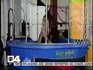 Nick TV Challenge,  Channel 4 News