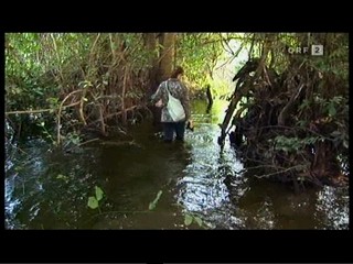 German TV Documentary