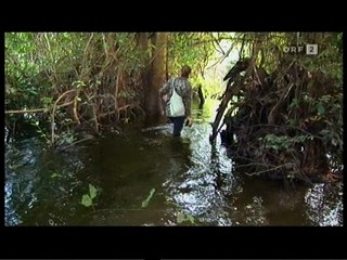 German TV Documentary