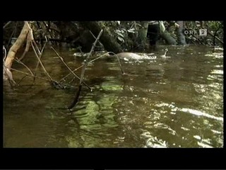 German TV Documentary