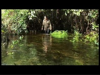 German TV Documentary