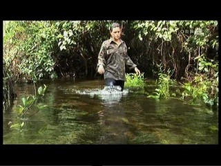 German TV Documentary