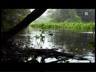 German TV Documentary